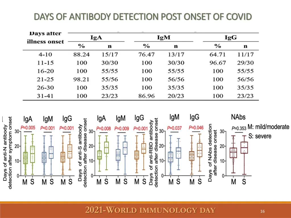 days of antibody detection post onset of covid