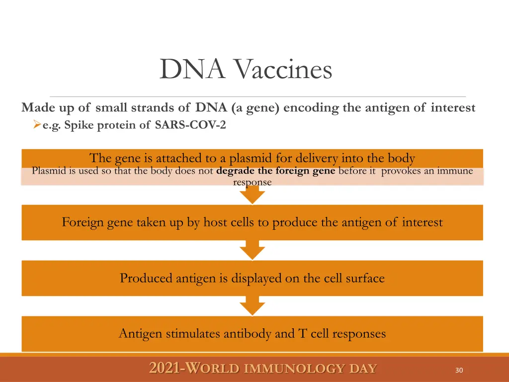 dna vaccines