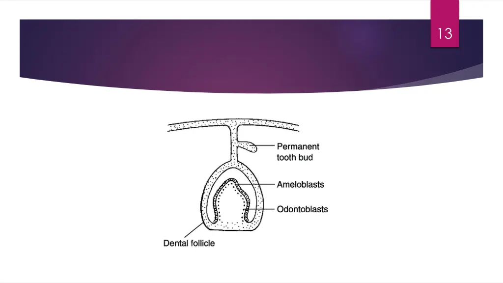 slide13