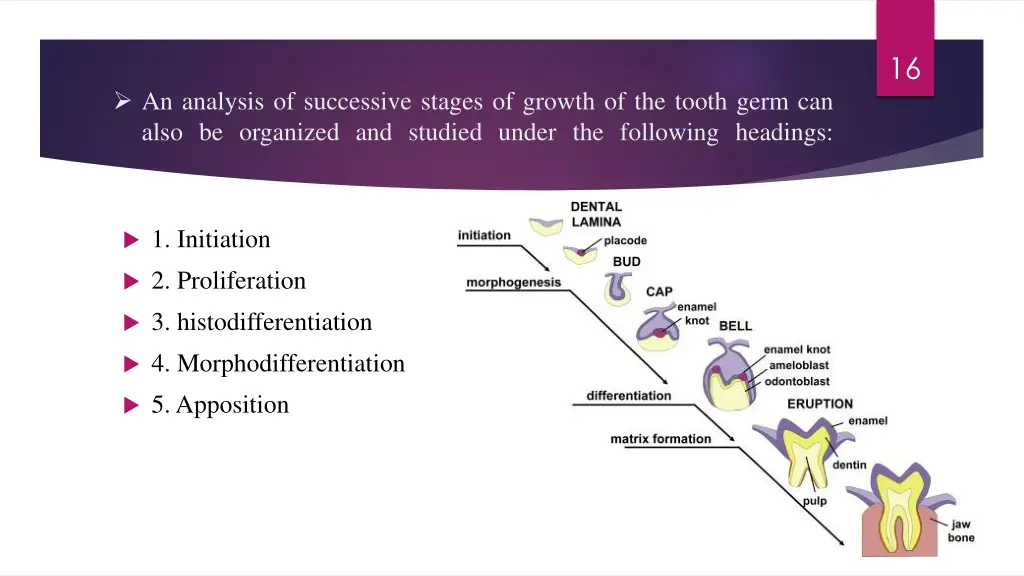 slide16