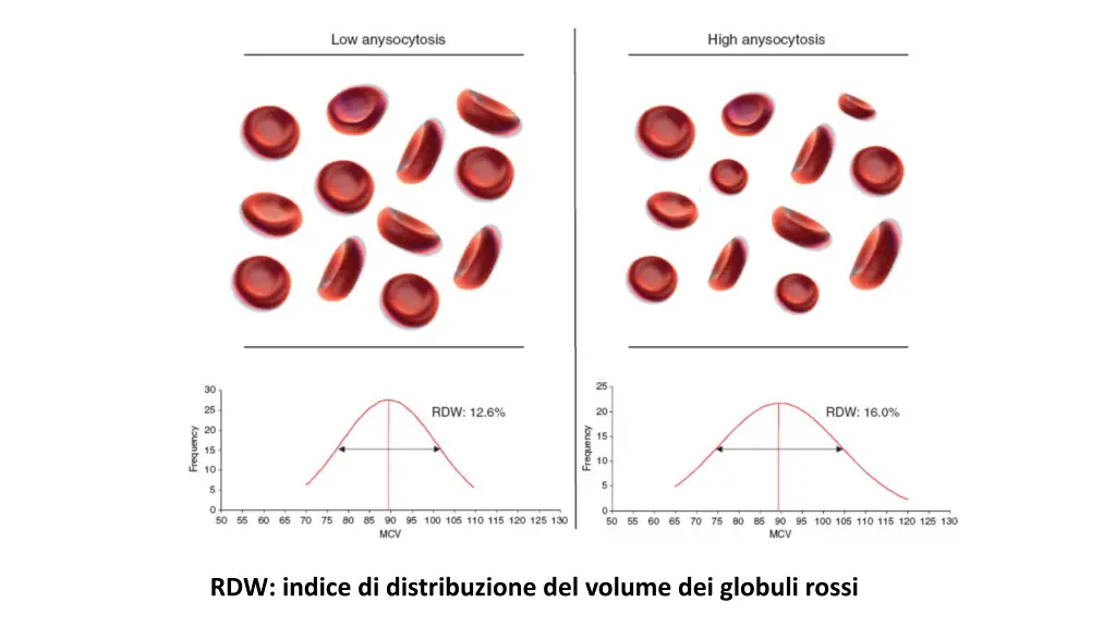 rdw indice di distribuzione del volume