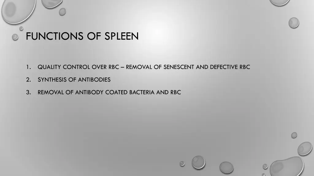 functions of spleen