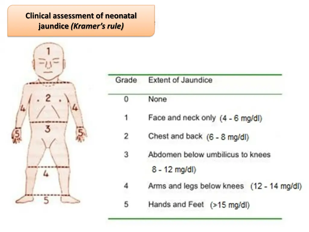 clinical assessment of neonatal jaundice kramer