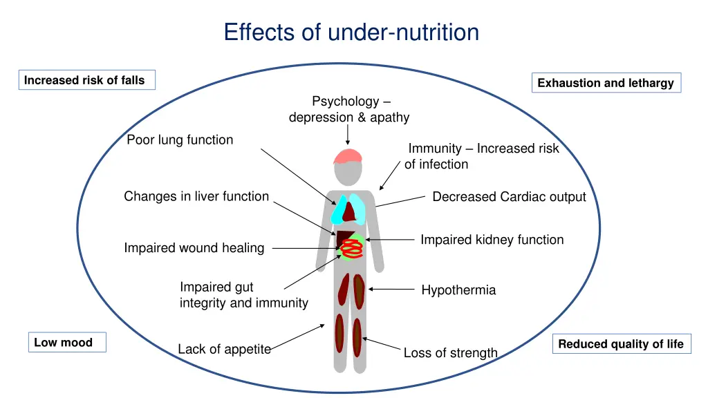 effects of under nutrition