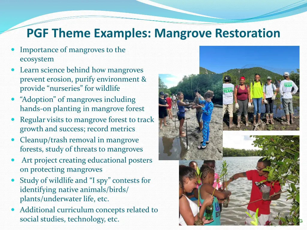 pgf theme examples mangrove restoration