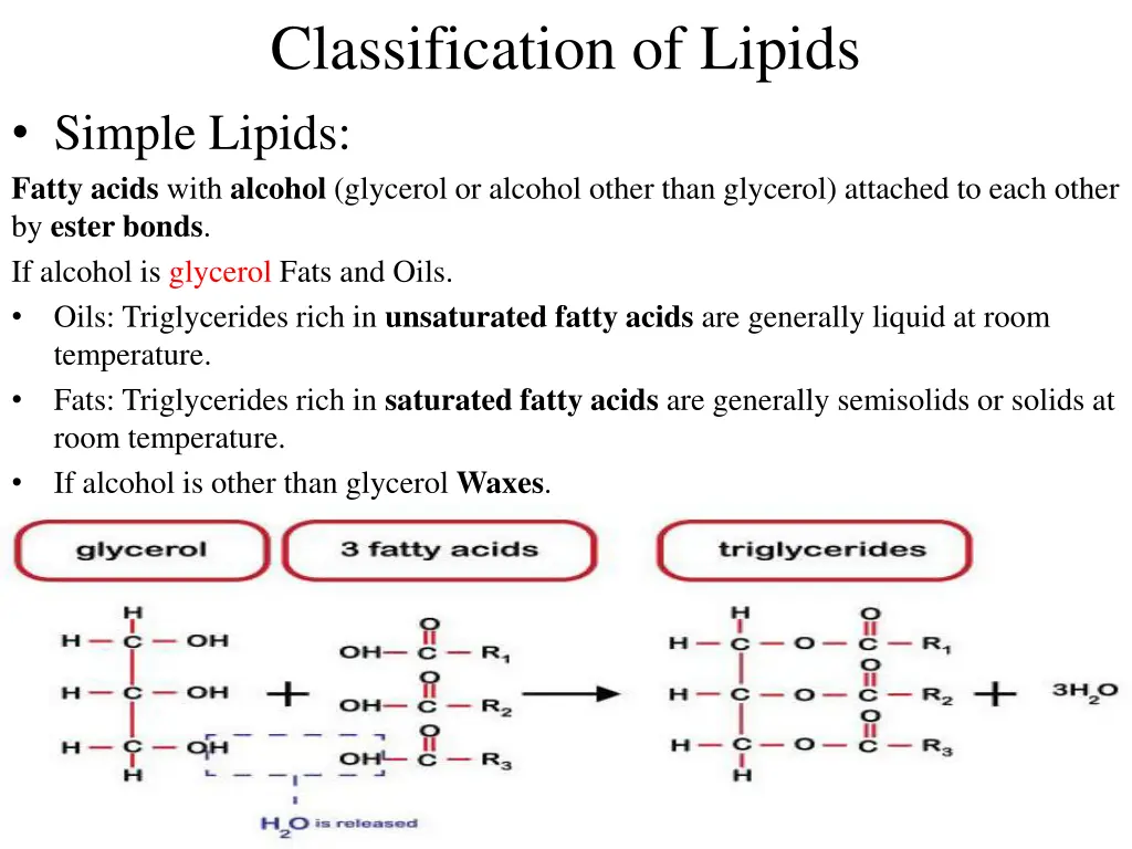 classification of lipids simple lipids fatty