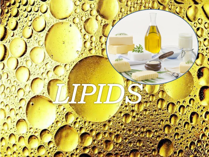 lipids