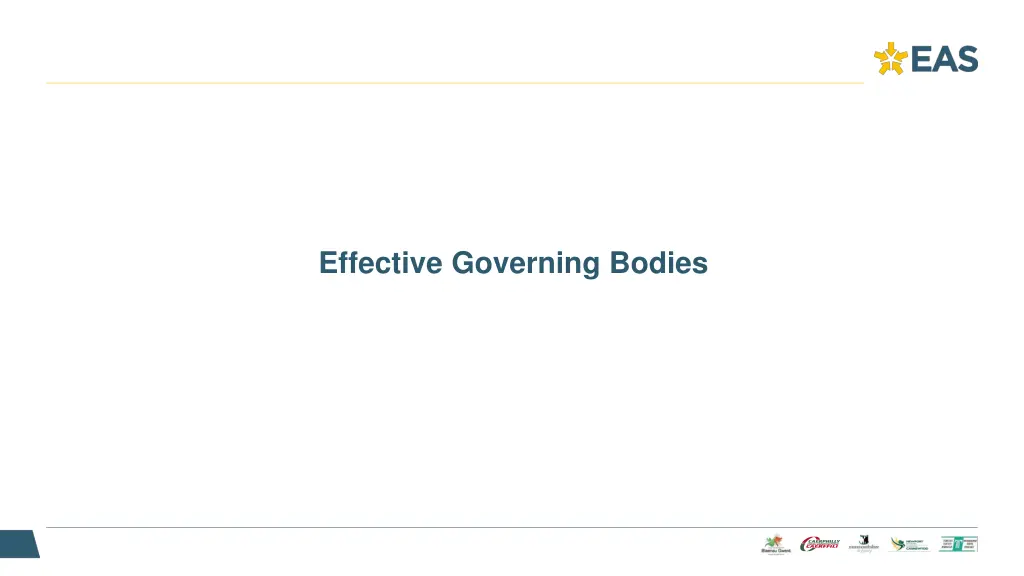 effective governing bodies