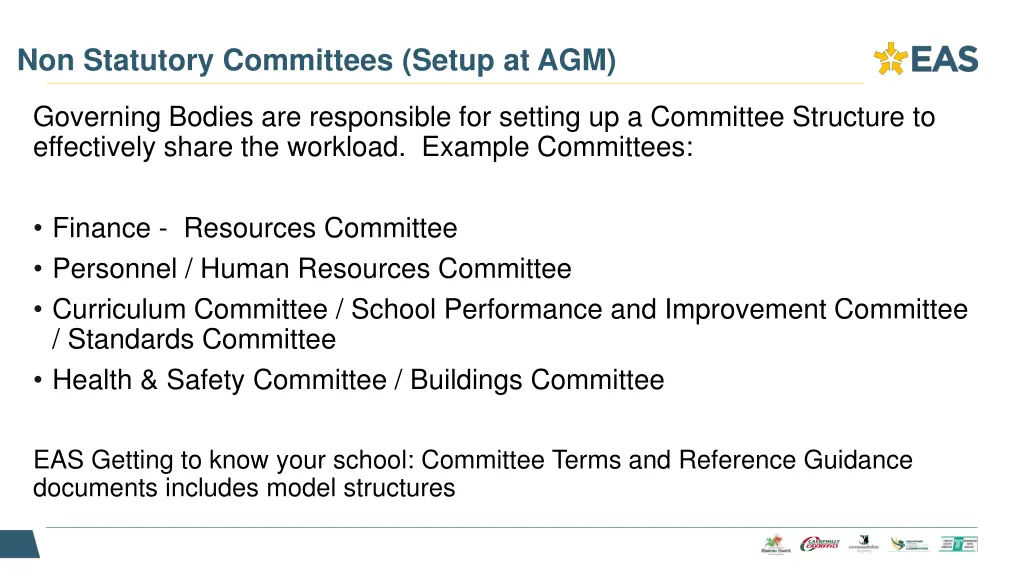 non statutory committees setup at agm