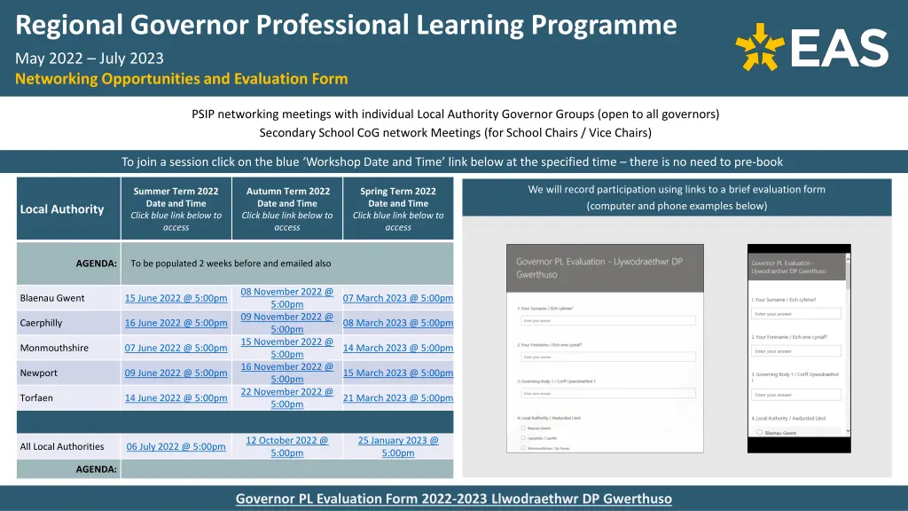 regional governor professional learning programme 2