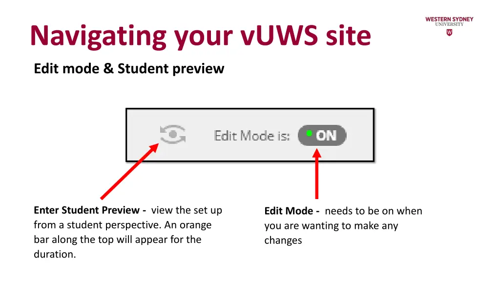 navigating your vuws site