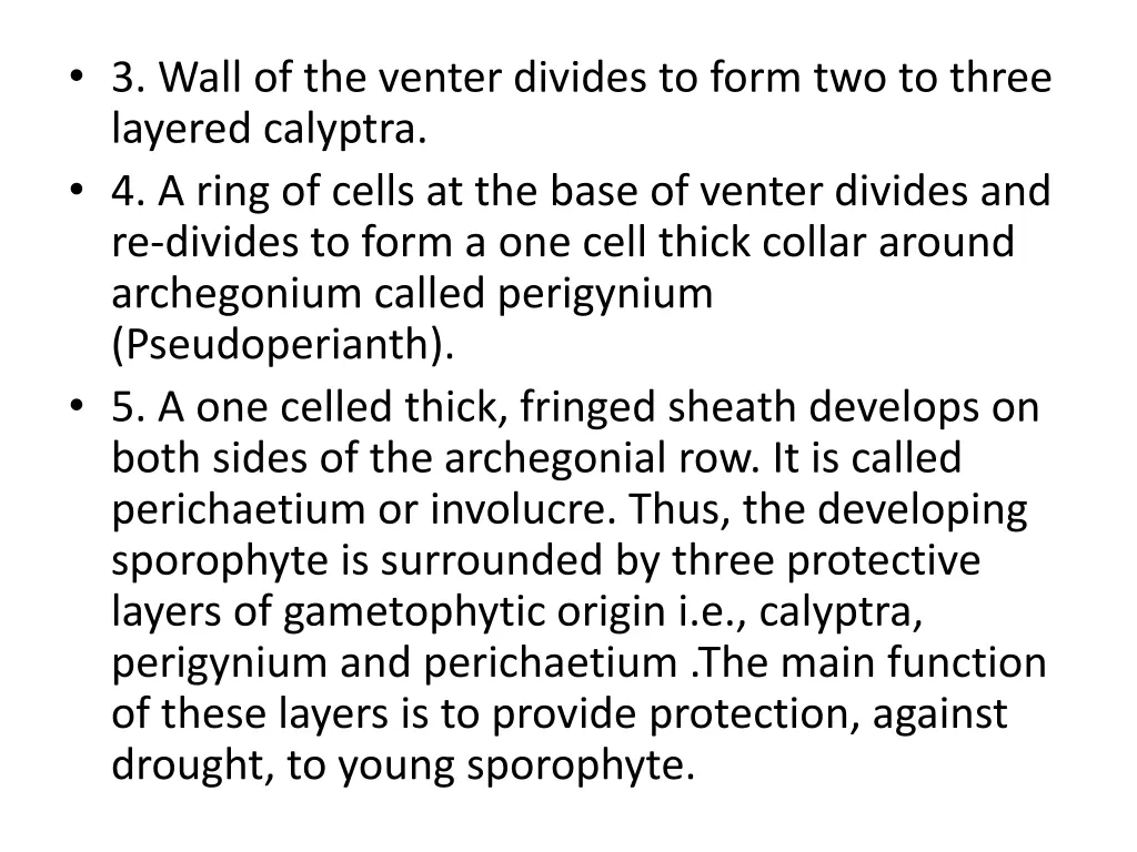 3 wall of the venter divides to form two to three