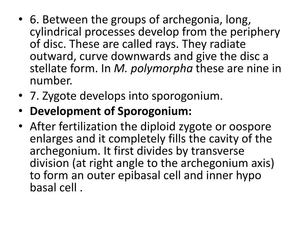 6 between the groups of archegonia long