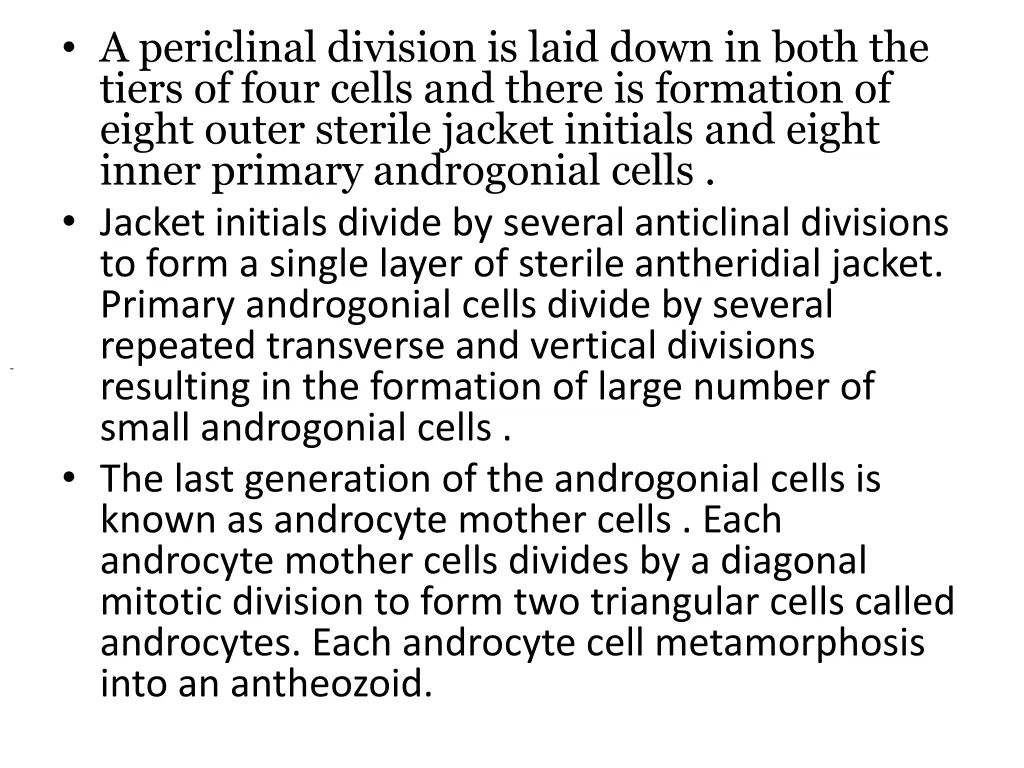 a periclinal division is laid down in both