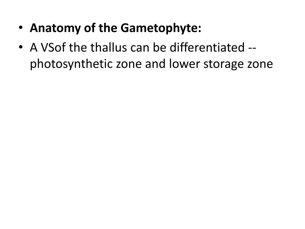 anatomy of the gametophyte a vsof the thallus