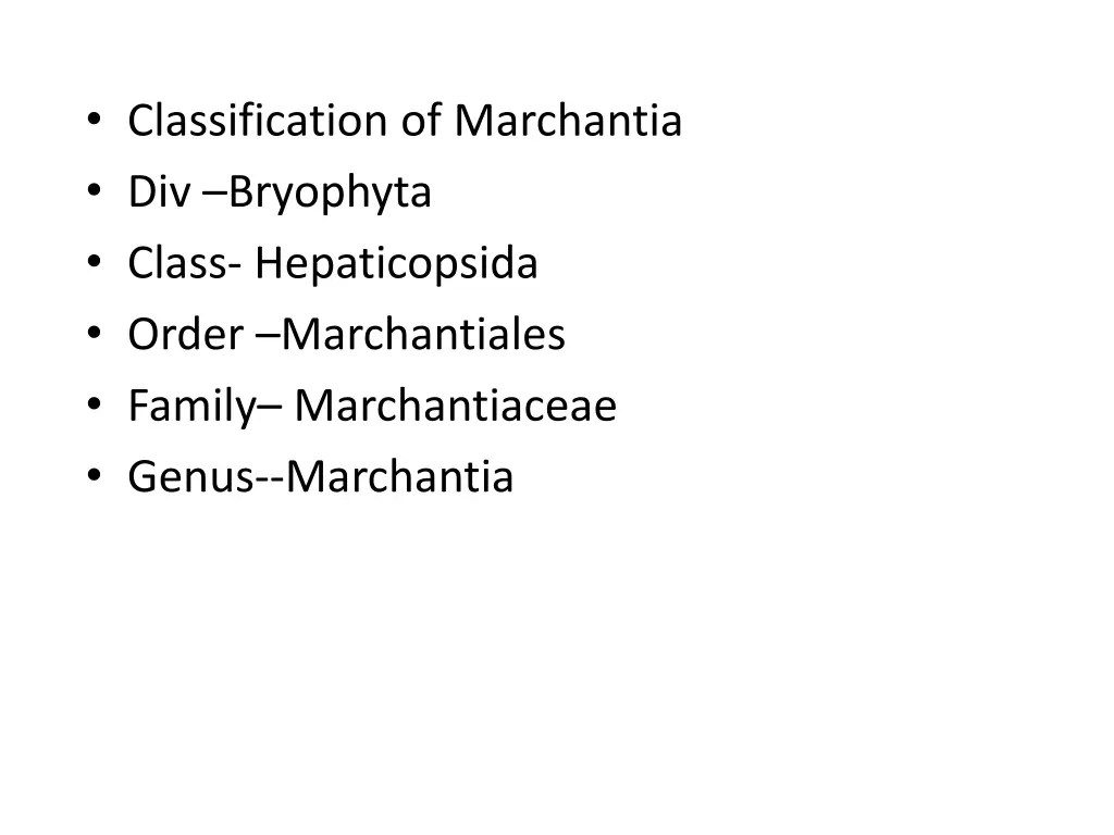 classification of marchantia div bryophyta class