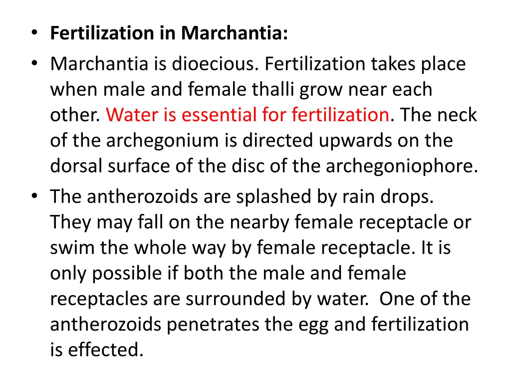 fertilization in marchantia marchantia