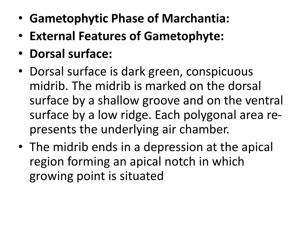 gametophytic phase of marchantia external