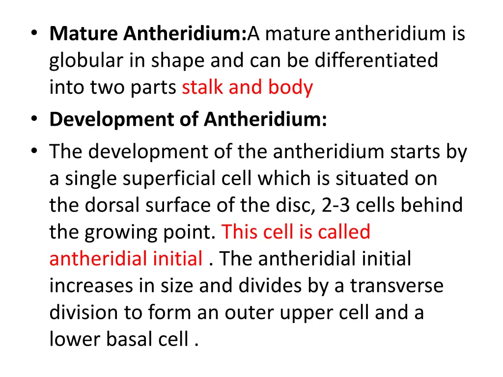 mature antheridium a matureantheridium