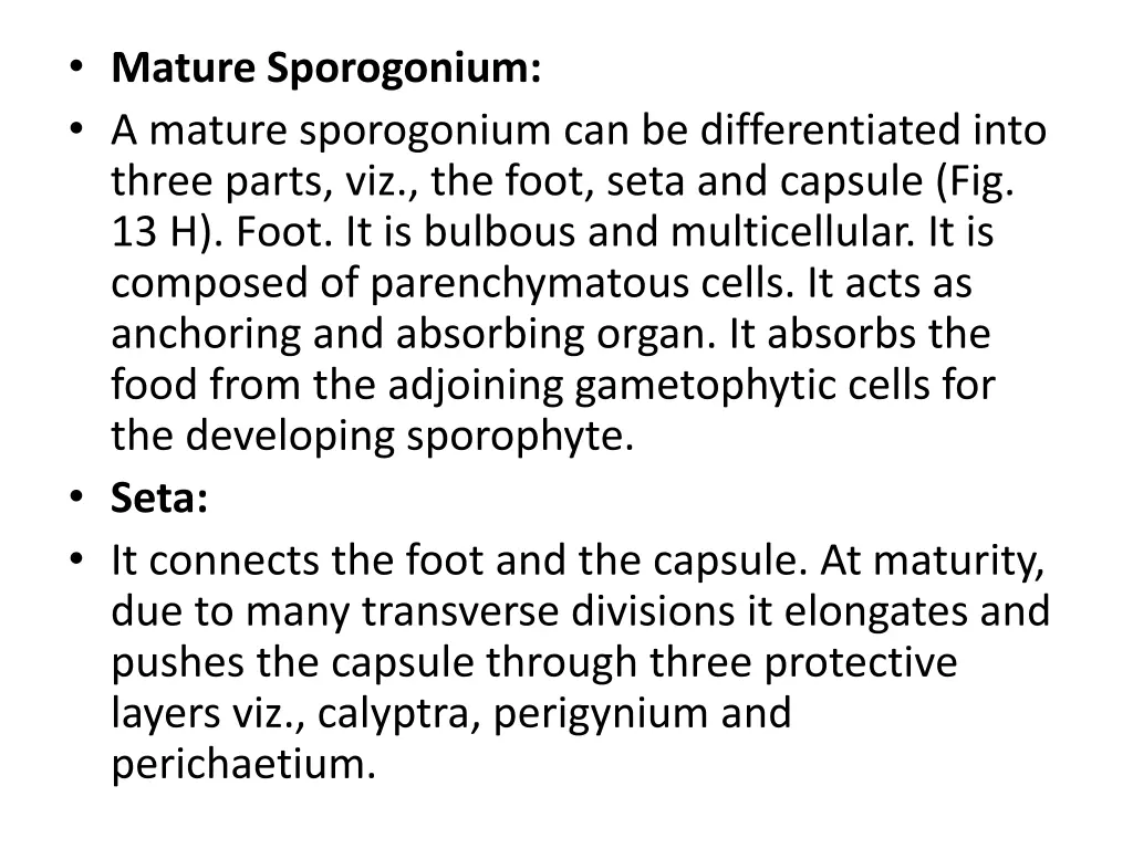 mature sporogonium a mature sporogonium