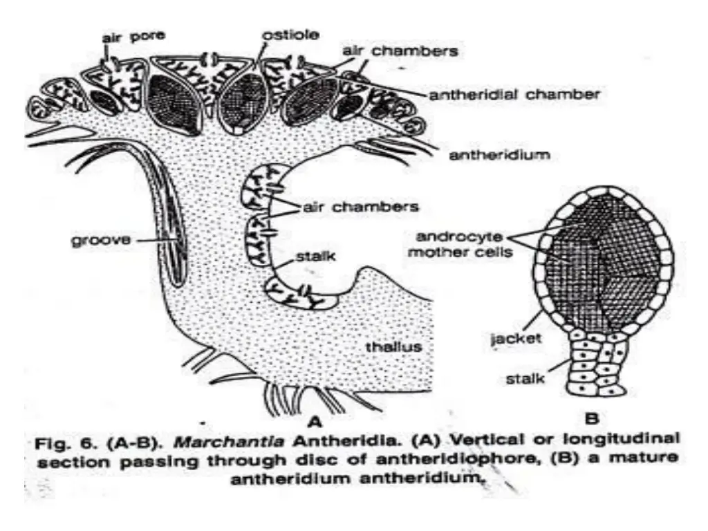 slide24