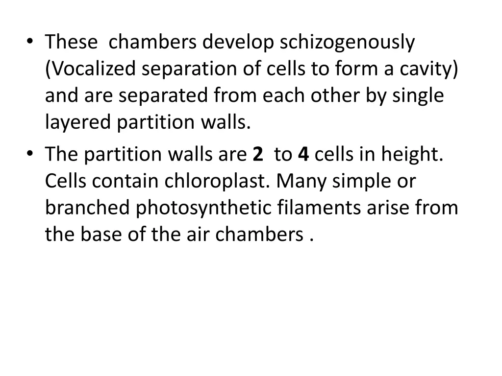 these chambers develop schizogenously vocalized
