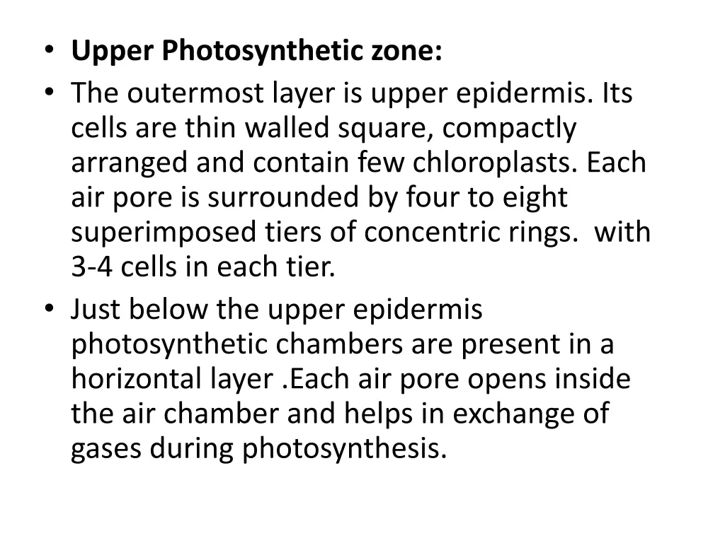 upper photosynthetic zone the outermost layer