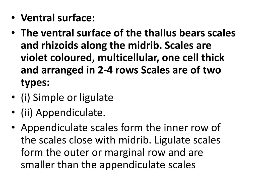 ventral surface the ventral surface 1