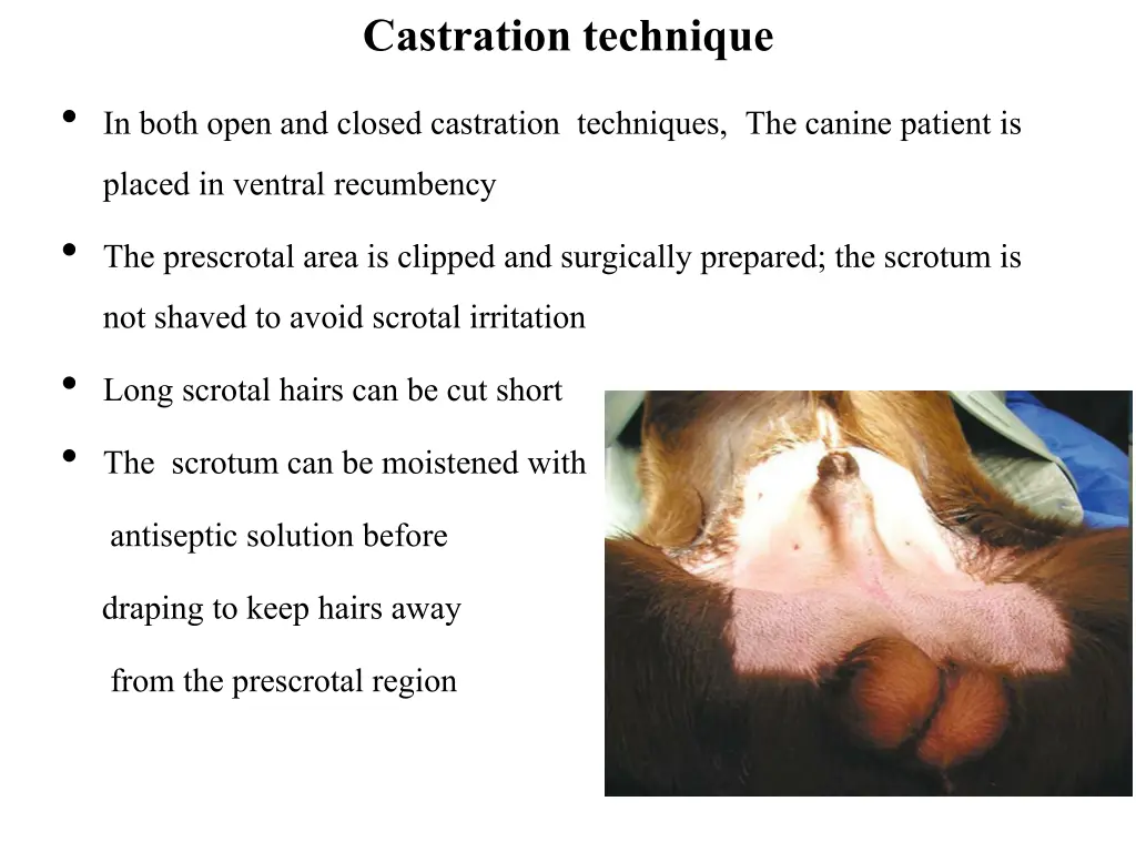 castration technique