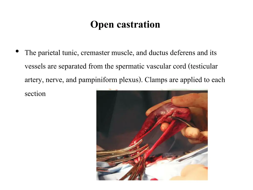 open castration 2