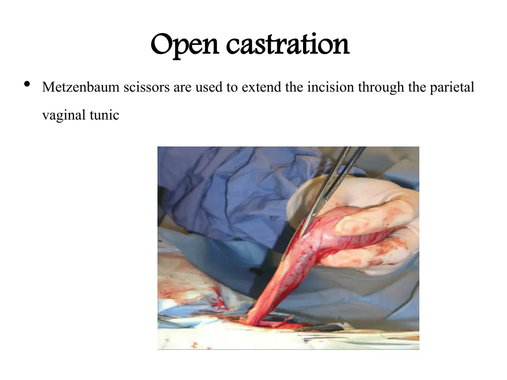 open castration