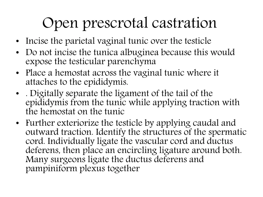 open prescrotal castration incise the parietal