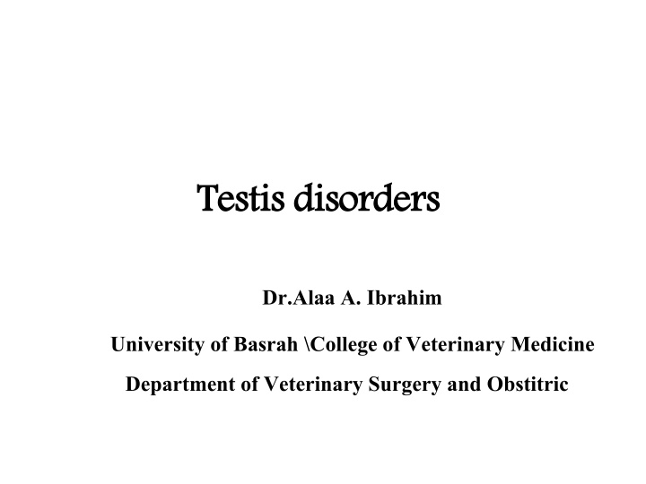 testis disorders