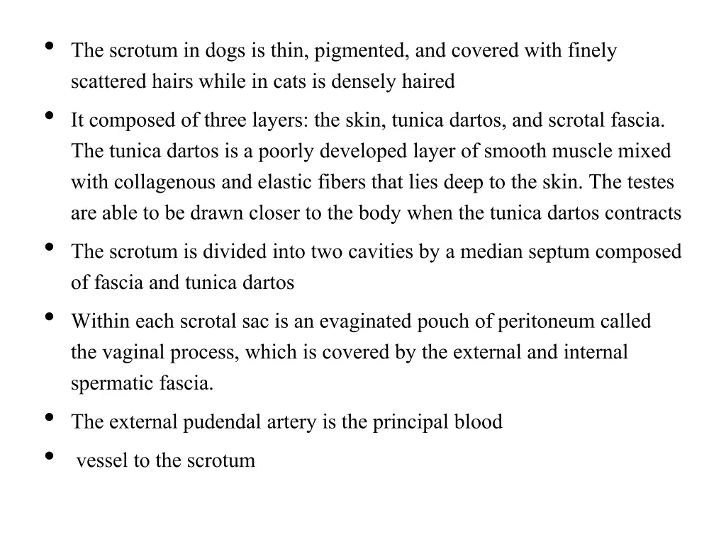 the scrotum in dogs is thin pigmented and covered