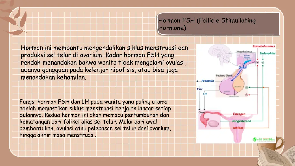 hormon fsh follicle stimullating hormone