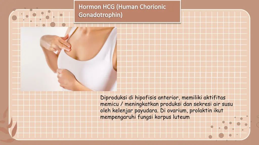 hormon hcg human chorionic gonadotrophin 1