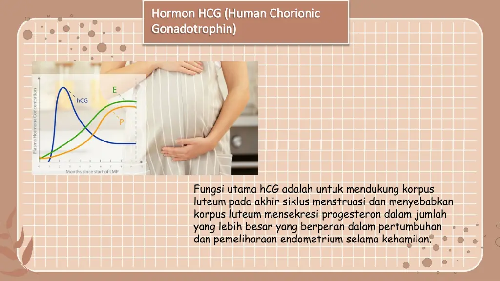 hormon hcg human chorionic gonadotrophin