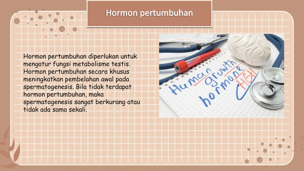 hormon pertumbuhan