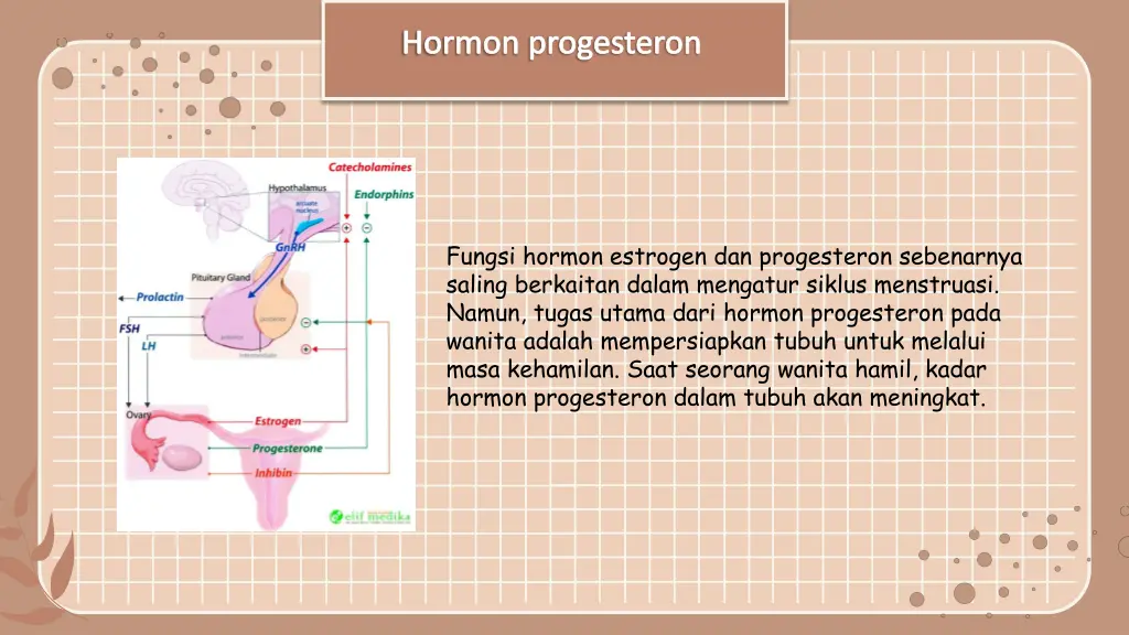 hormon progesteron