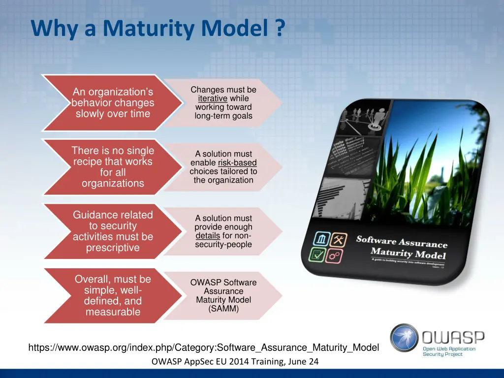 why a maturity model