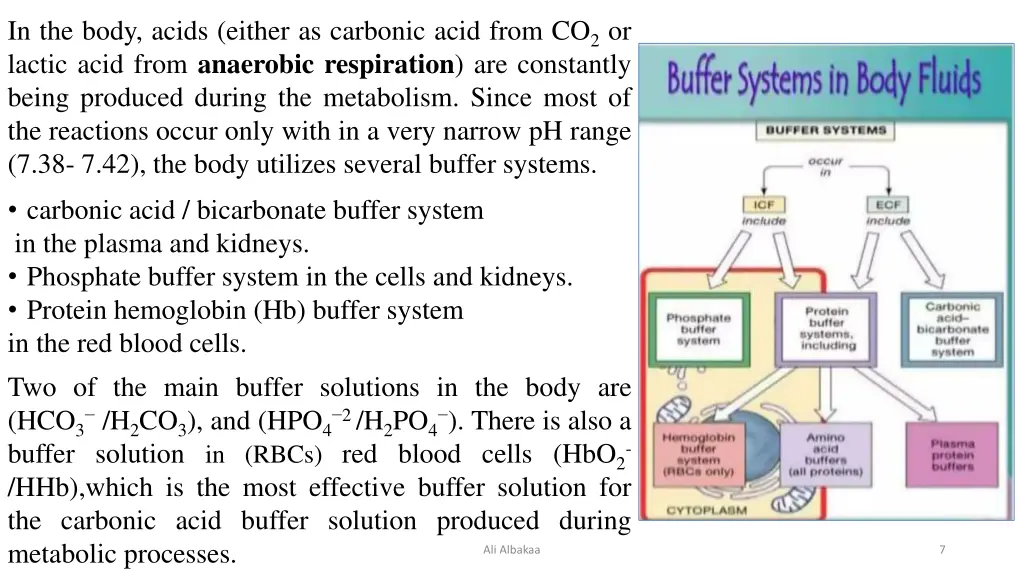 in the body acids either as carbonic acid from