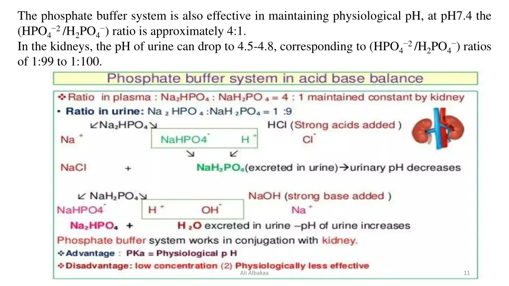 the phosphate buffer system is also effective