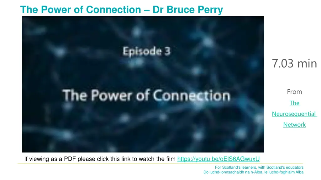 the power of connection dr bruce perry