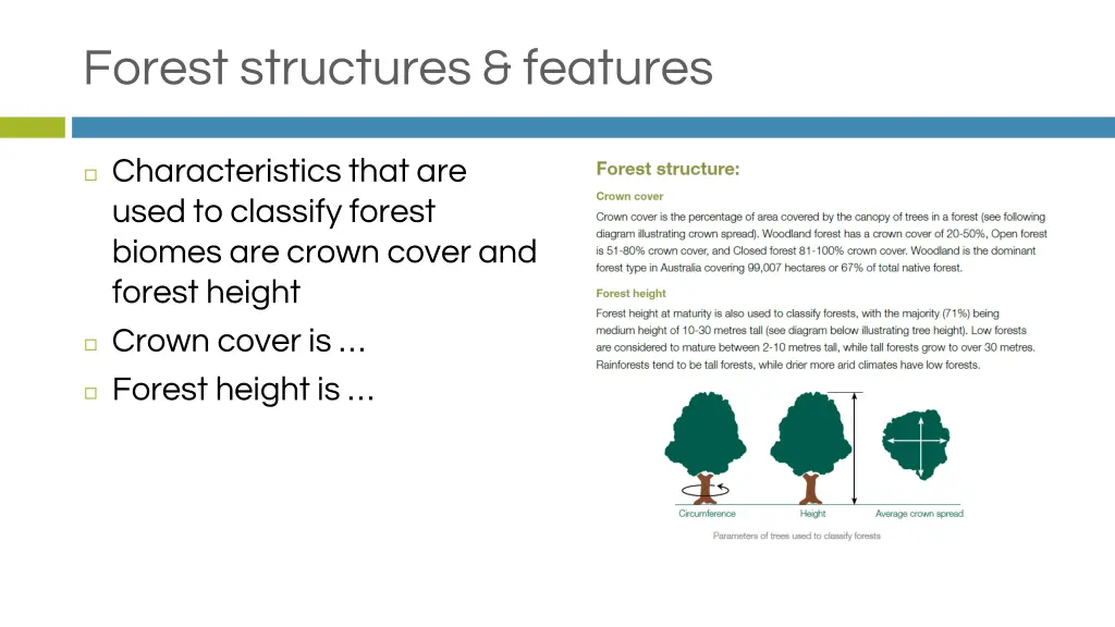 forest structures features