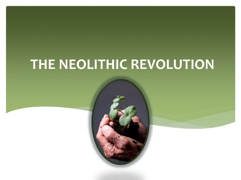 the neolithic revolution