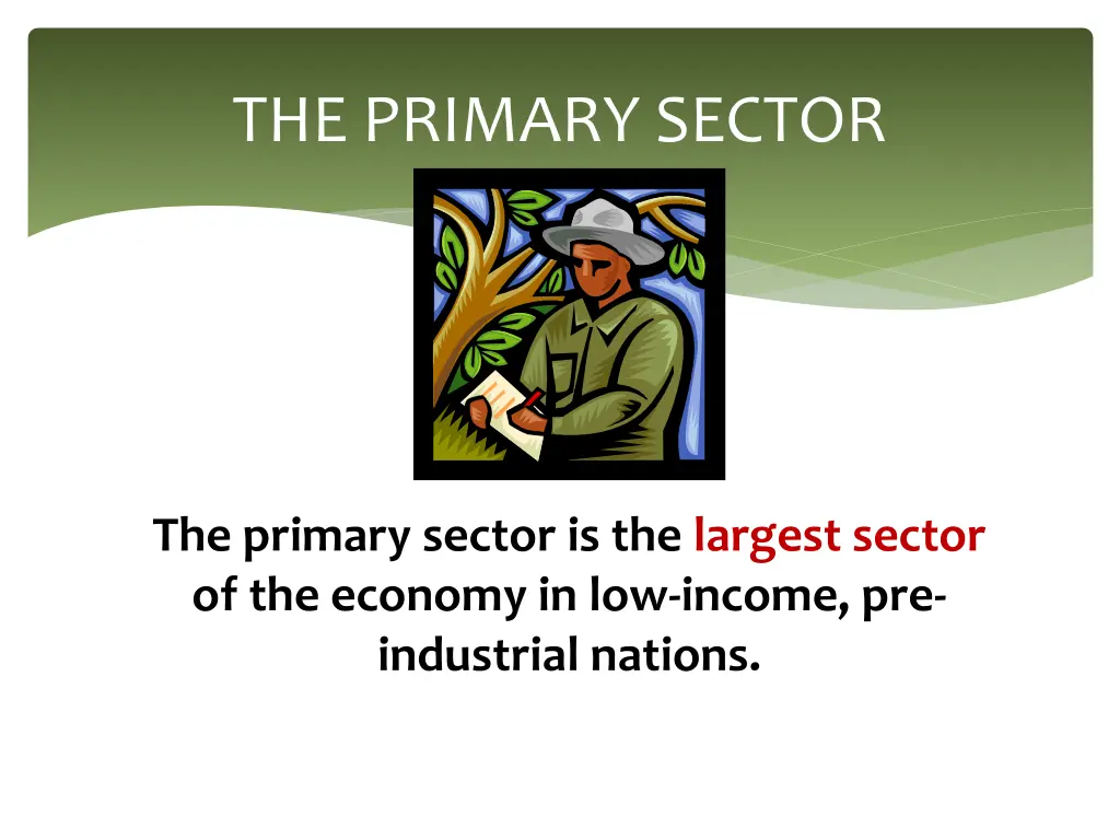 the primary sector 1