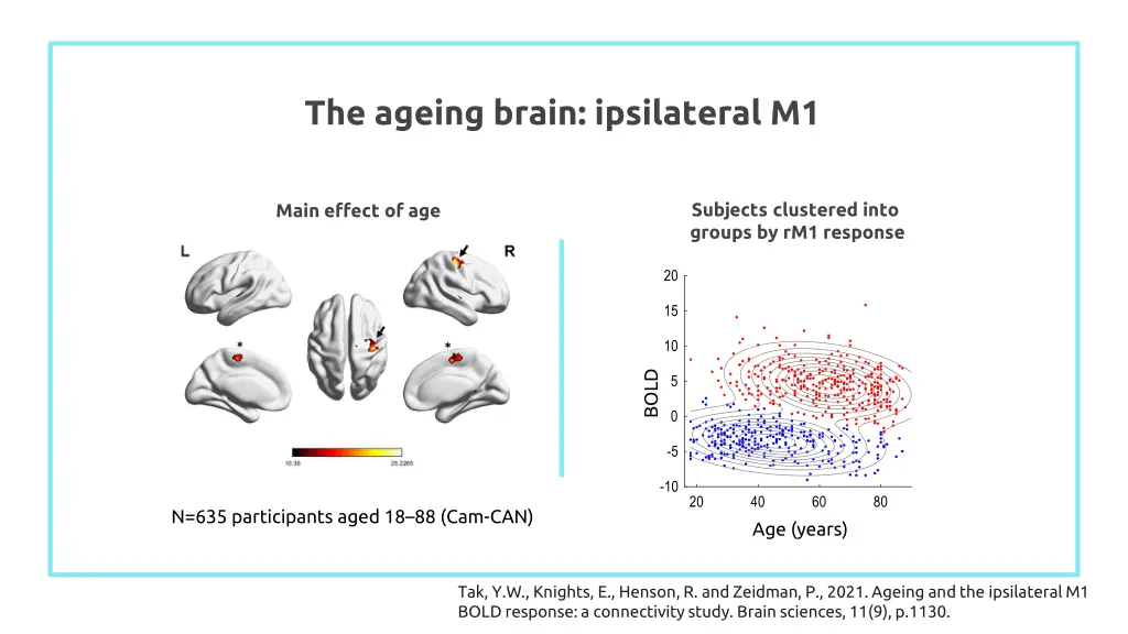 the ageing brain ipsilateral m1