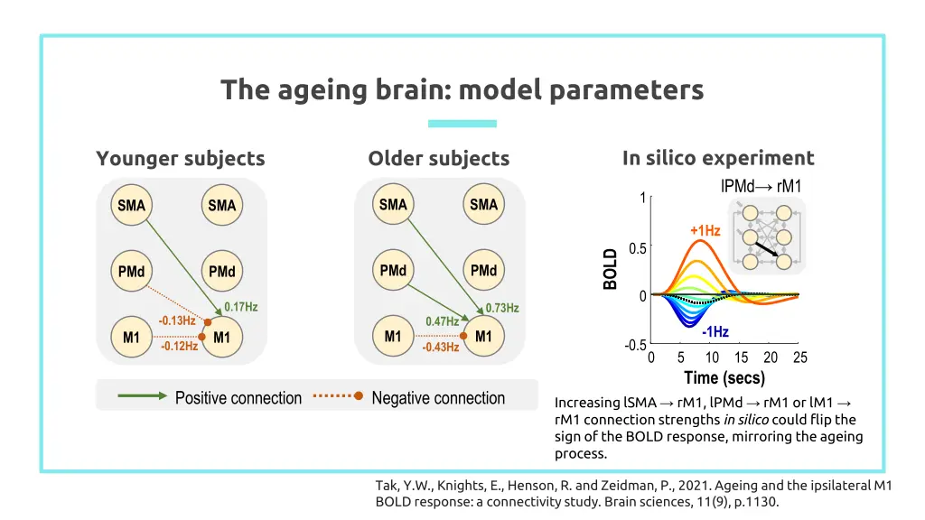 the ageing brain model parameters