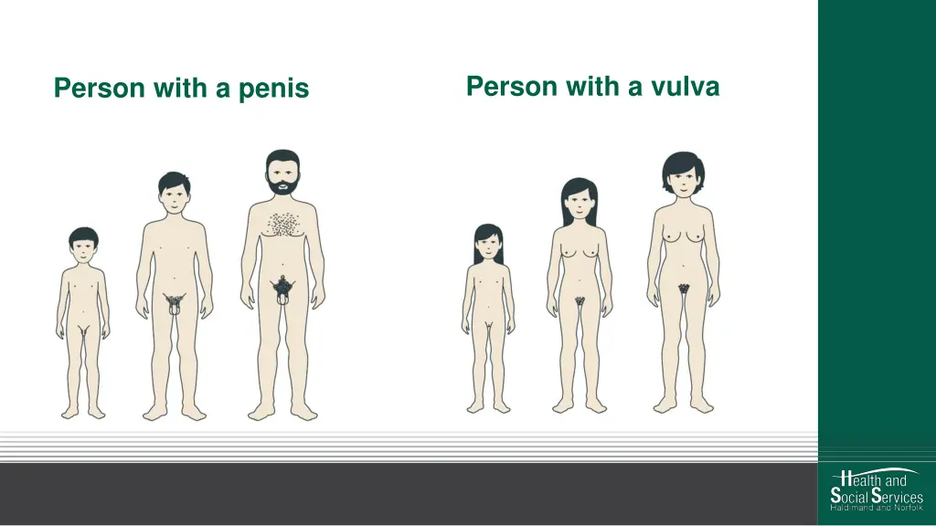 person with a vulva