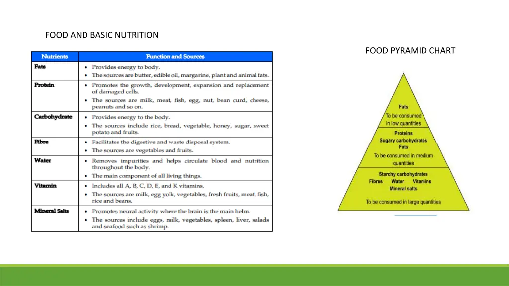 food and basic nutrition